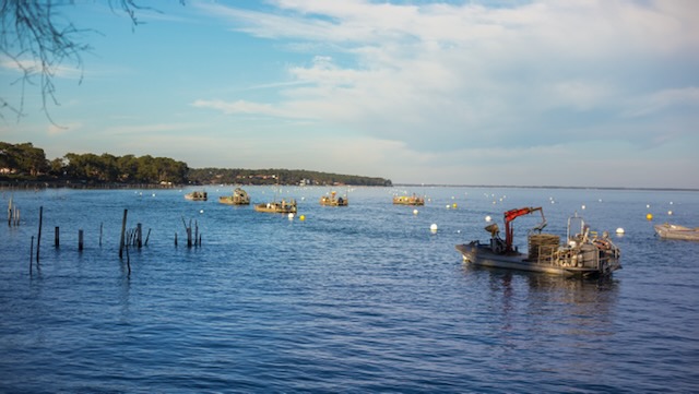 Reisetipp für Arcachon