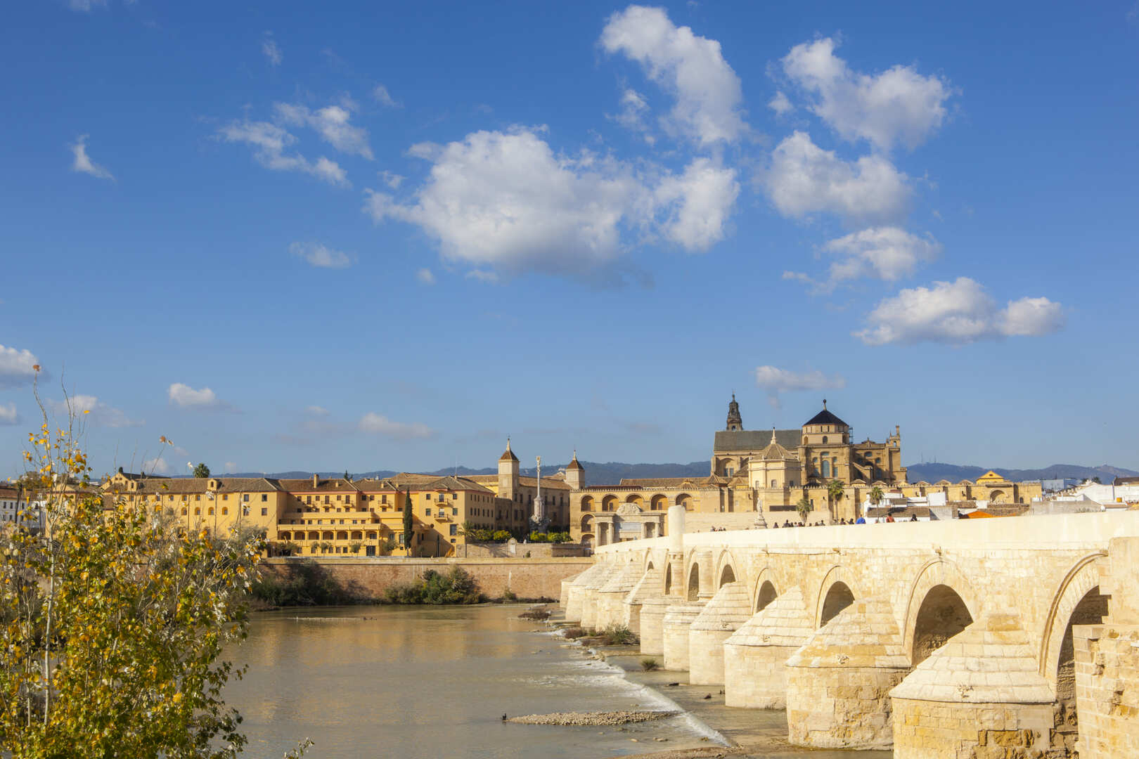 Cordoba