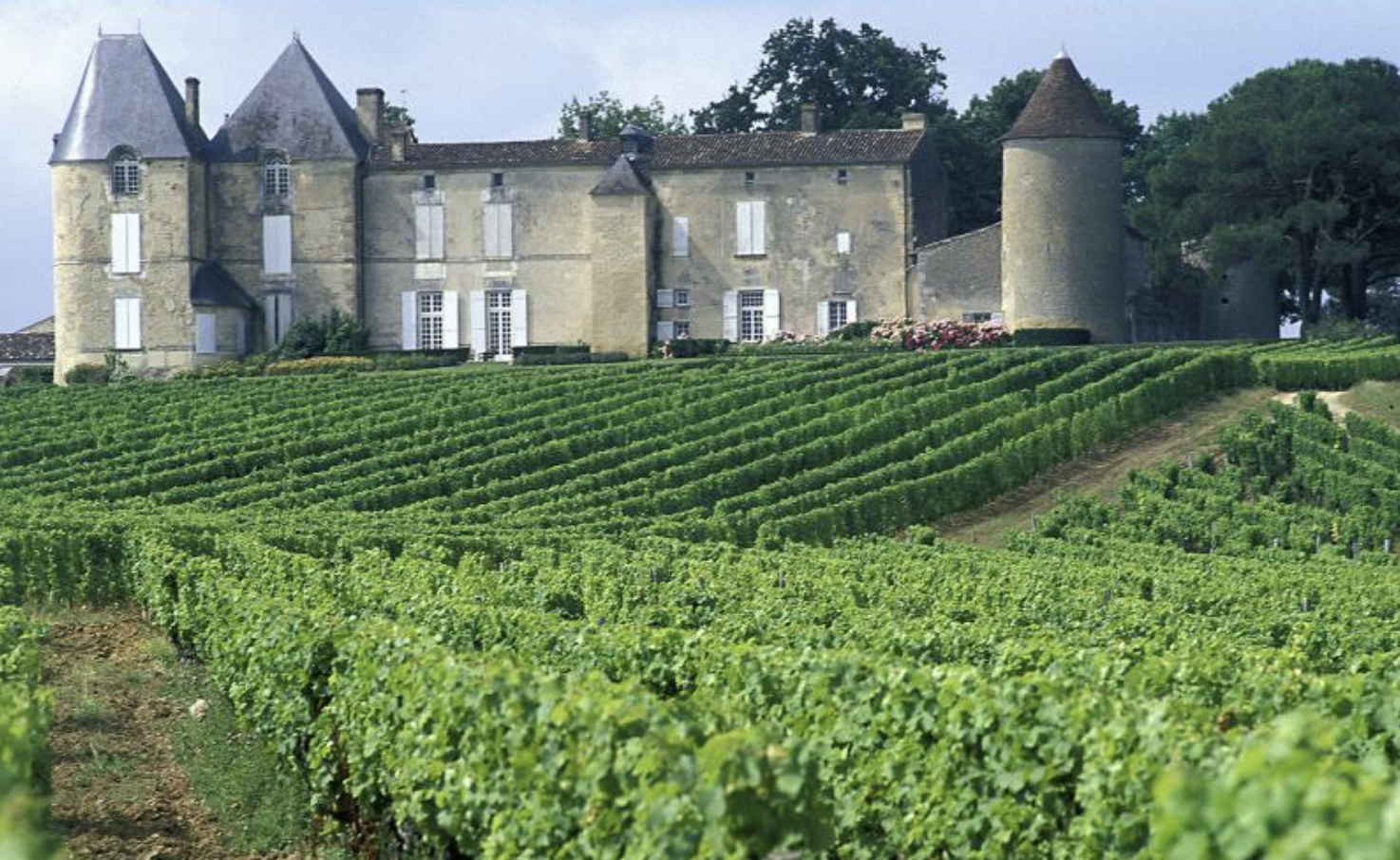 Bordeaux Weinreise
