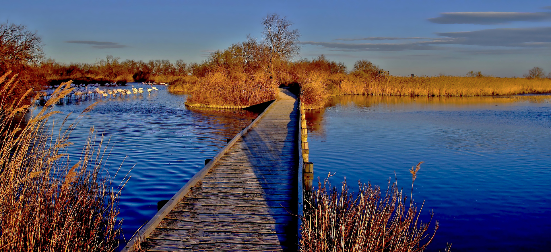 Urlaubstipp Camargue