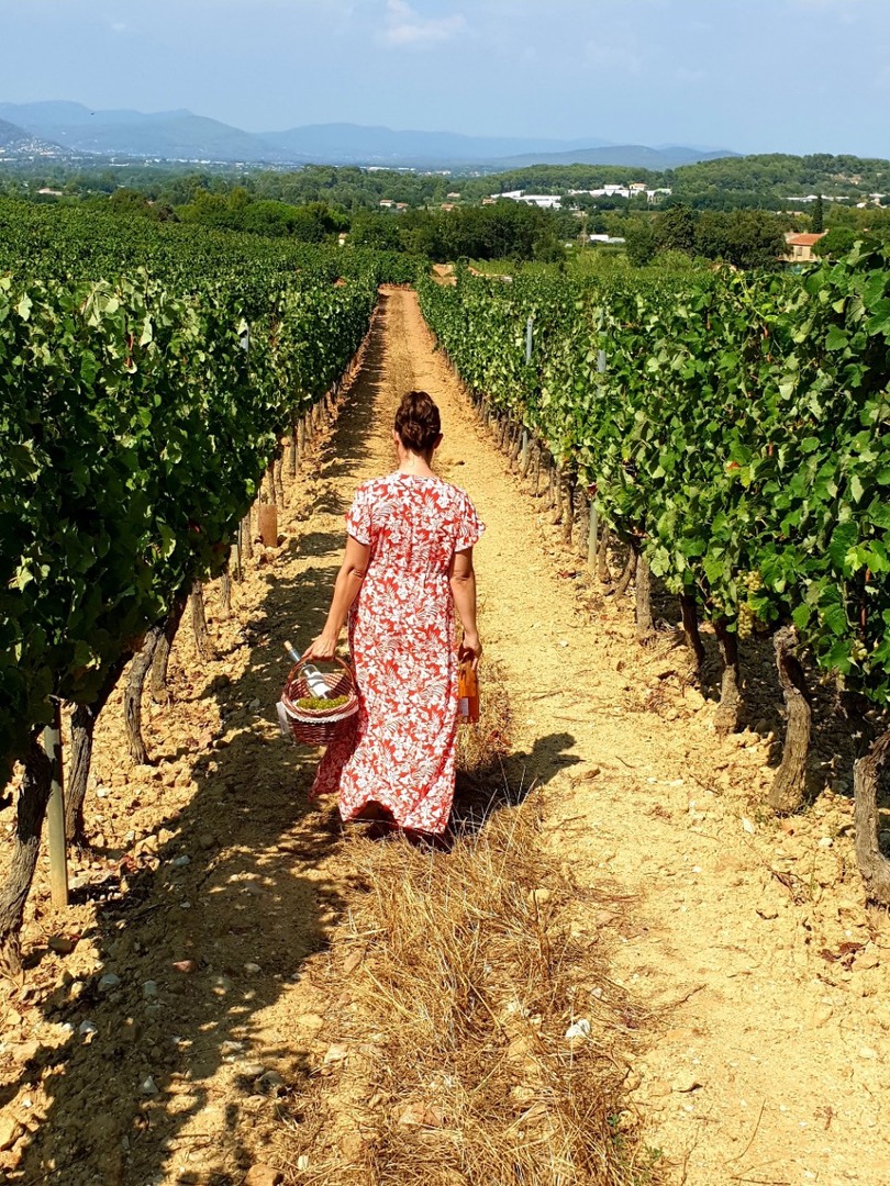 urlaub auf dem Weingut