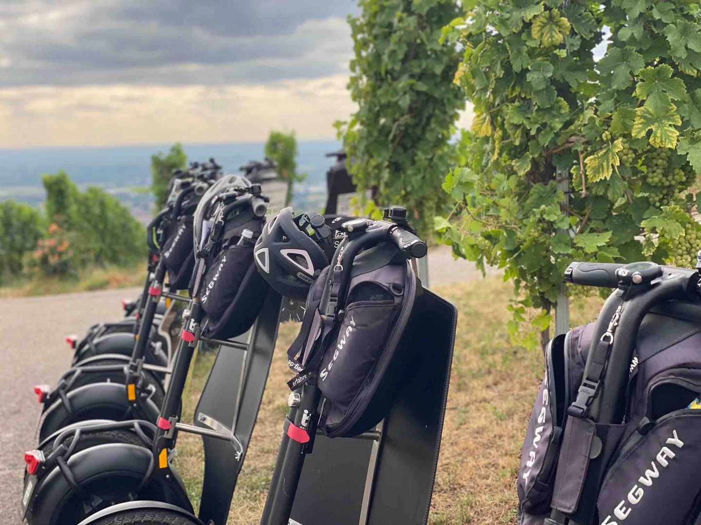 Segway Tour durch die Weinreben