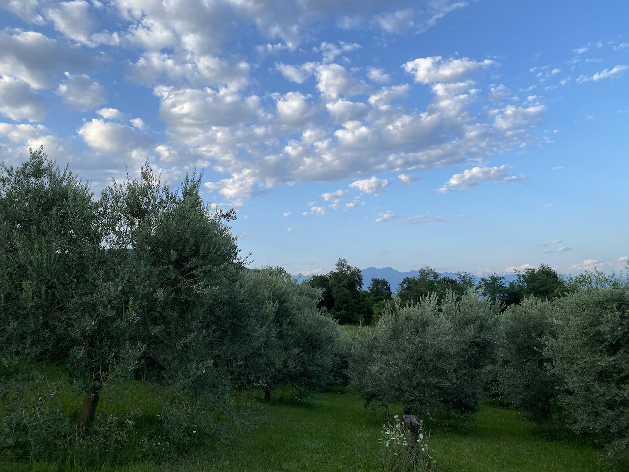 Reisetipp San Daniele