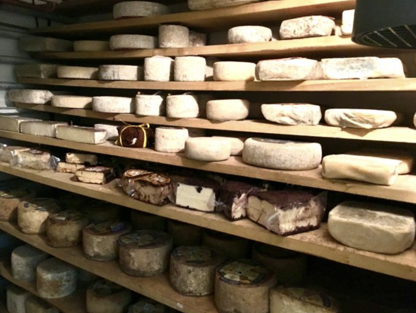 Käsereise Piemont