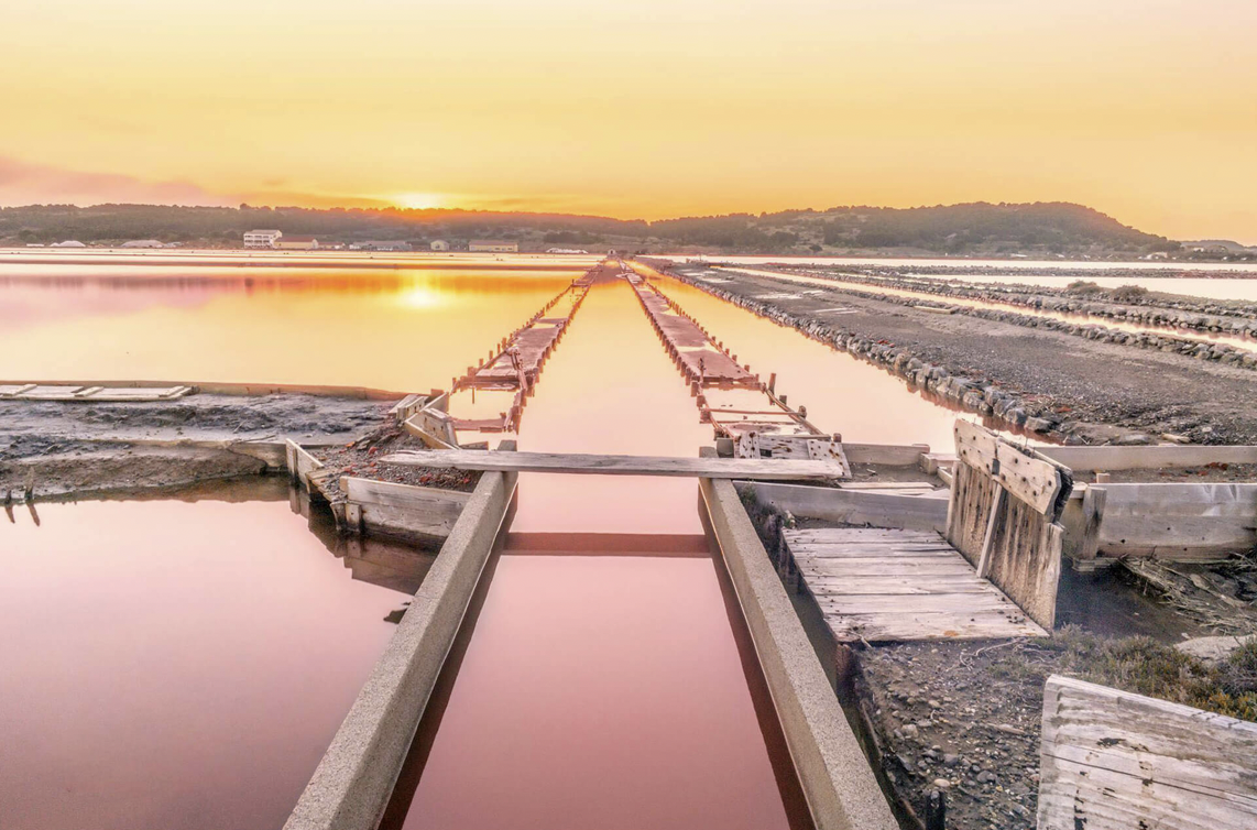 Führung in der Saline von gruissan mit Austernverkostung!