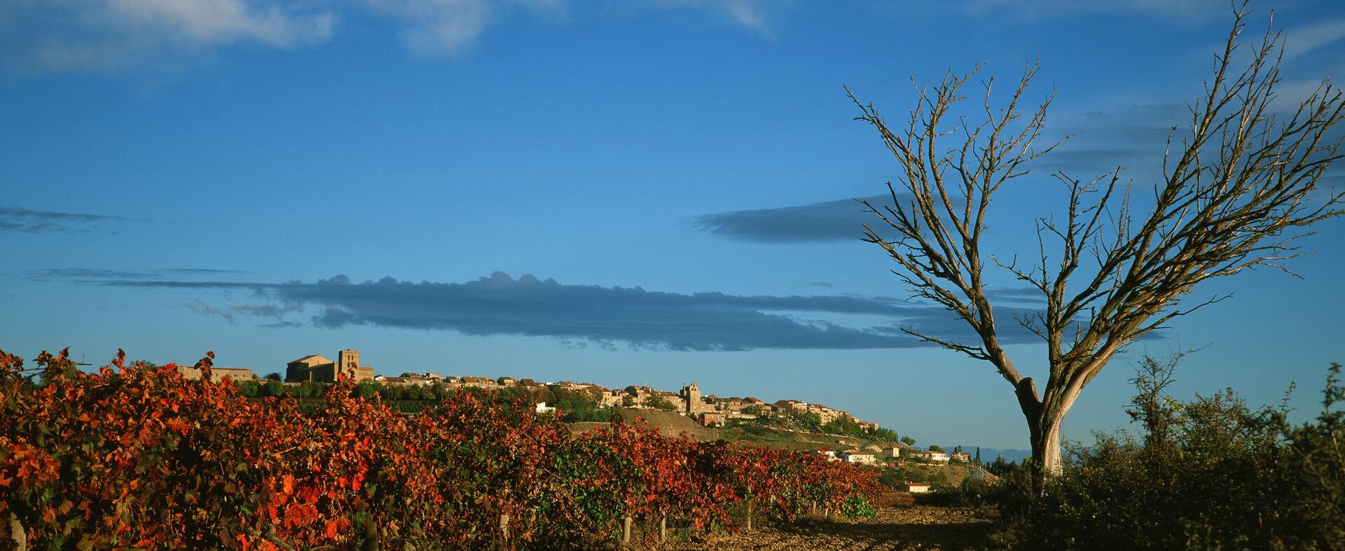 Rioja Gruppenreise