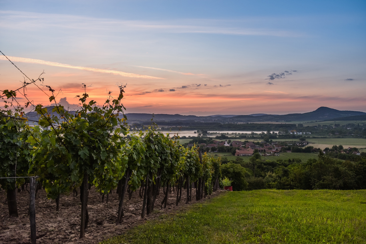 Rundreise am Balaton mit Badacsony