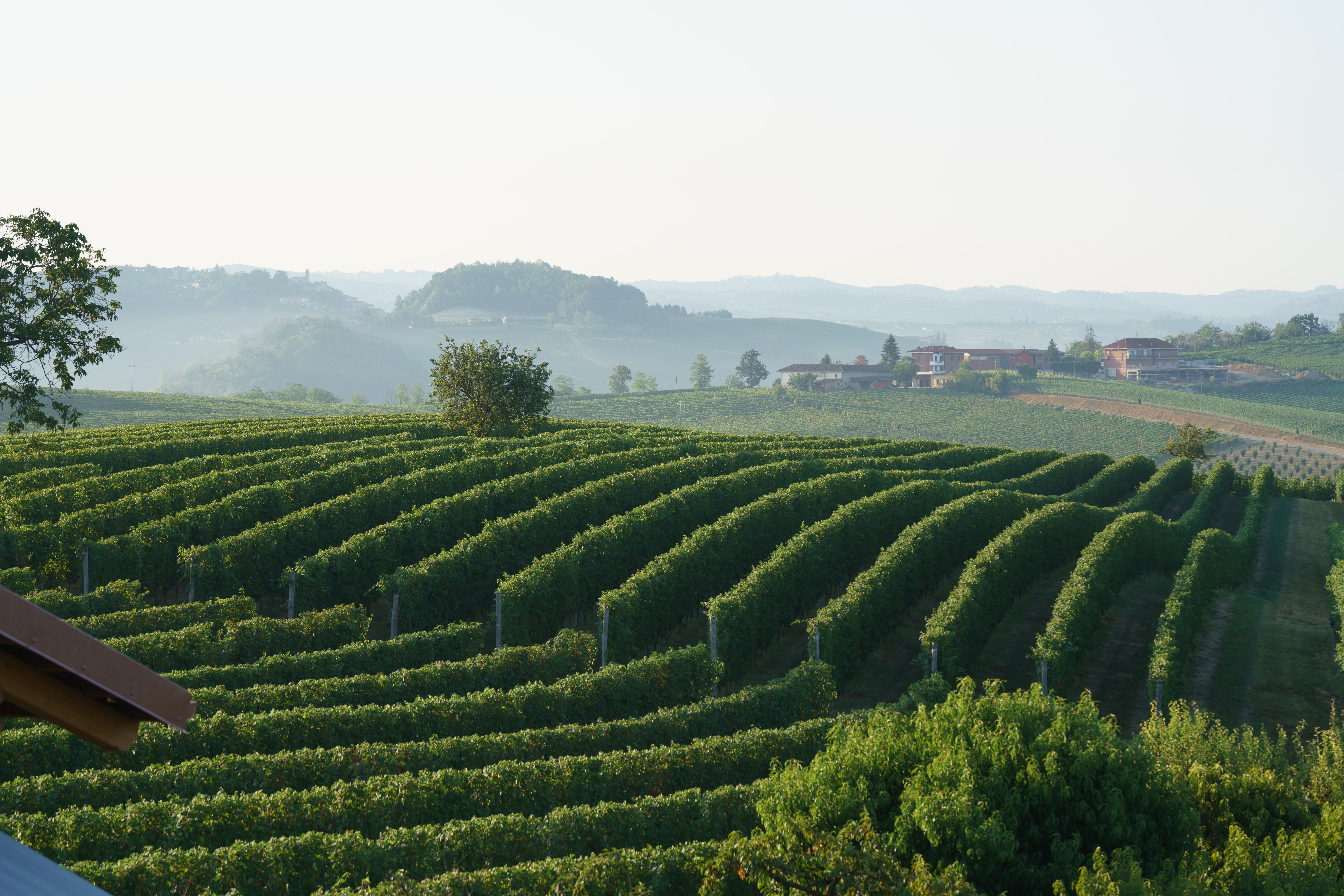 Urlaub Langhe Piemont
