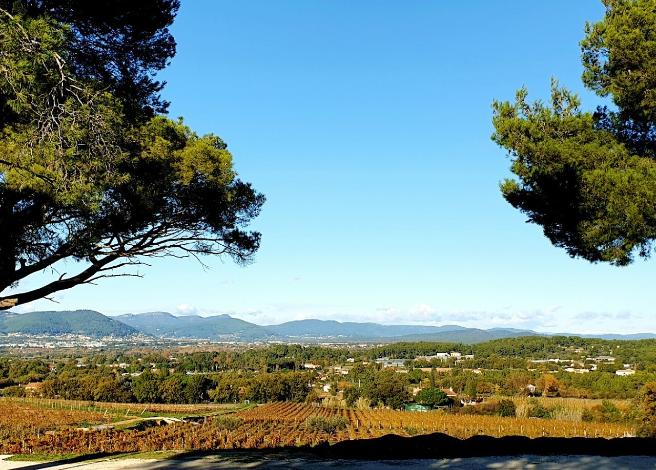 Urlaub auf dem Weingut in der Provence mit Weinverkostung