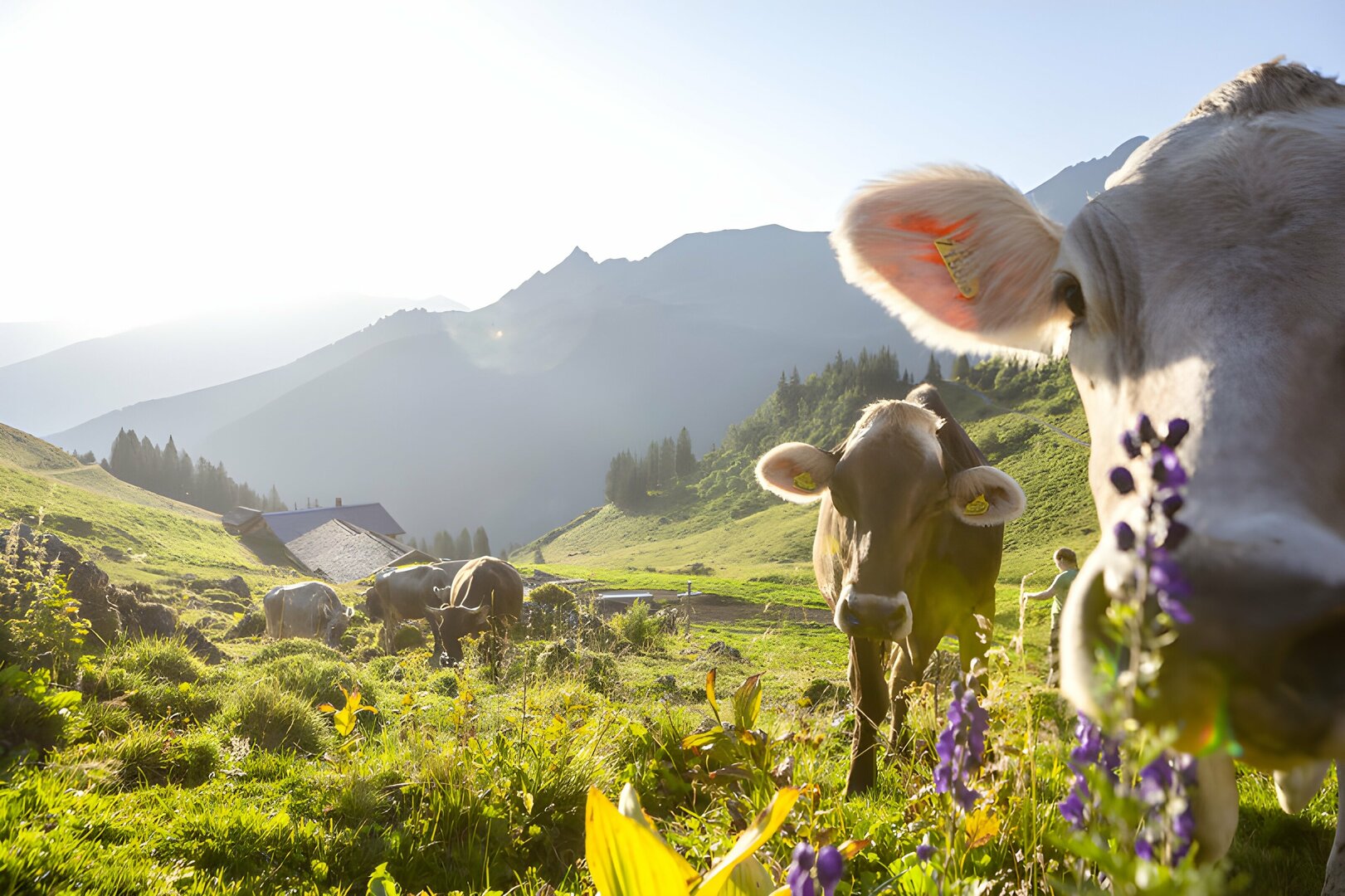 Voralberg Urlaub