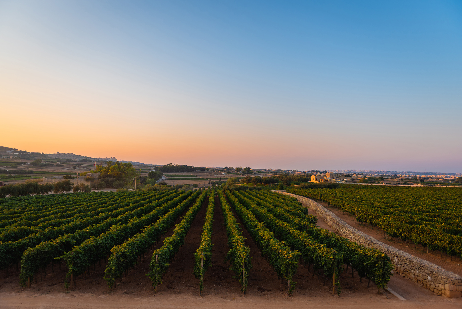 Weinreise Malta buchen
