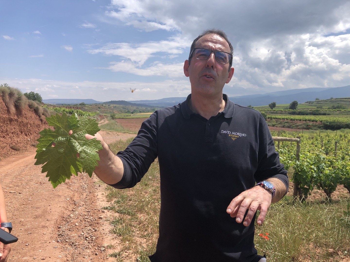 Weinverkostung Rioja buchen