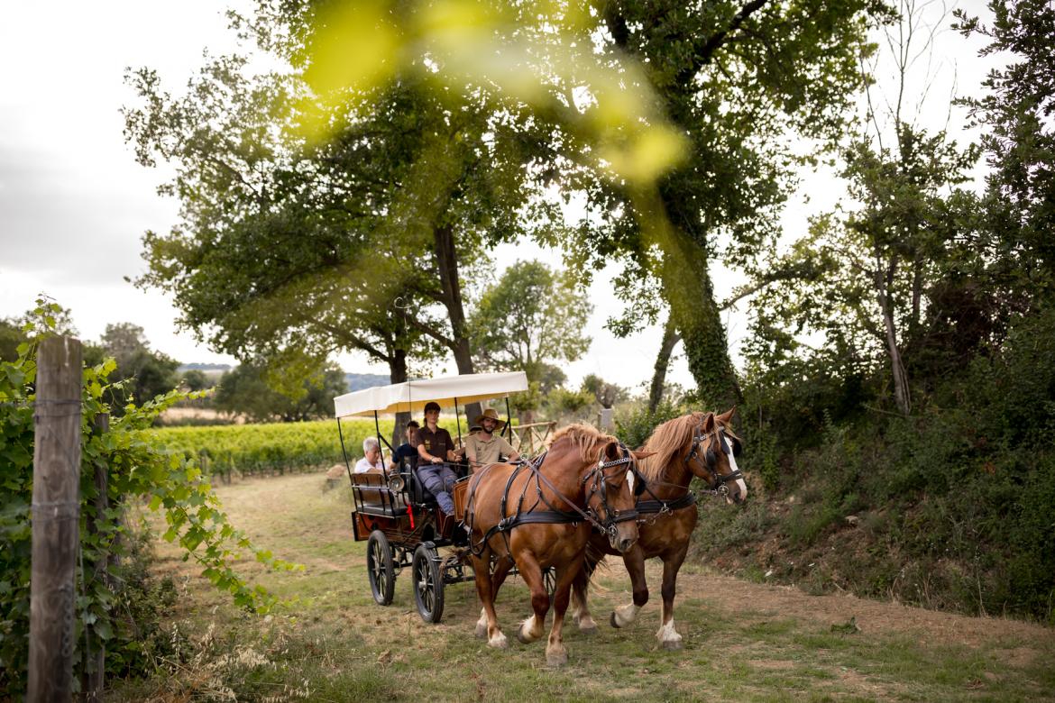 Umbrien Weinreise