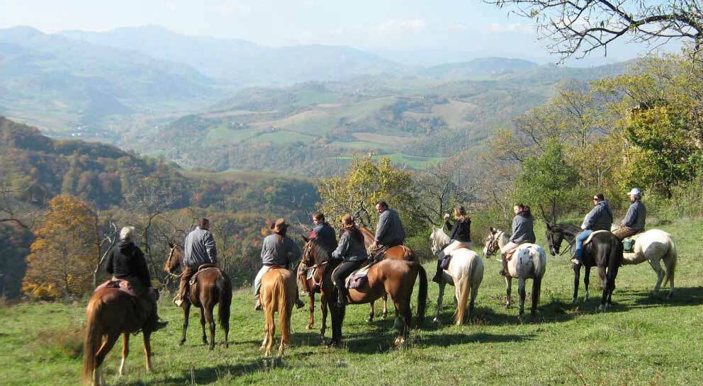 Reiten am Weingut in der Emilia-Romagna