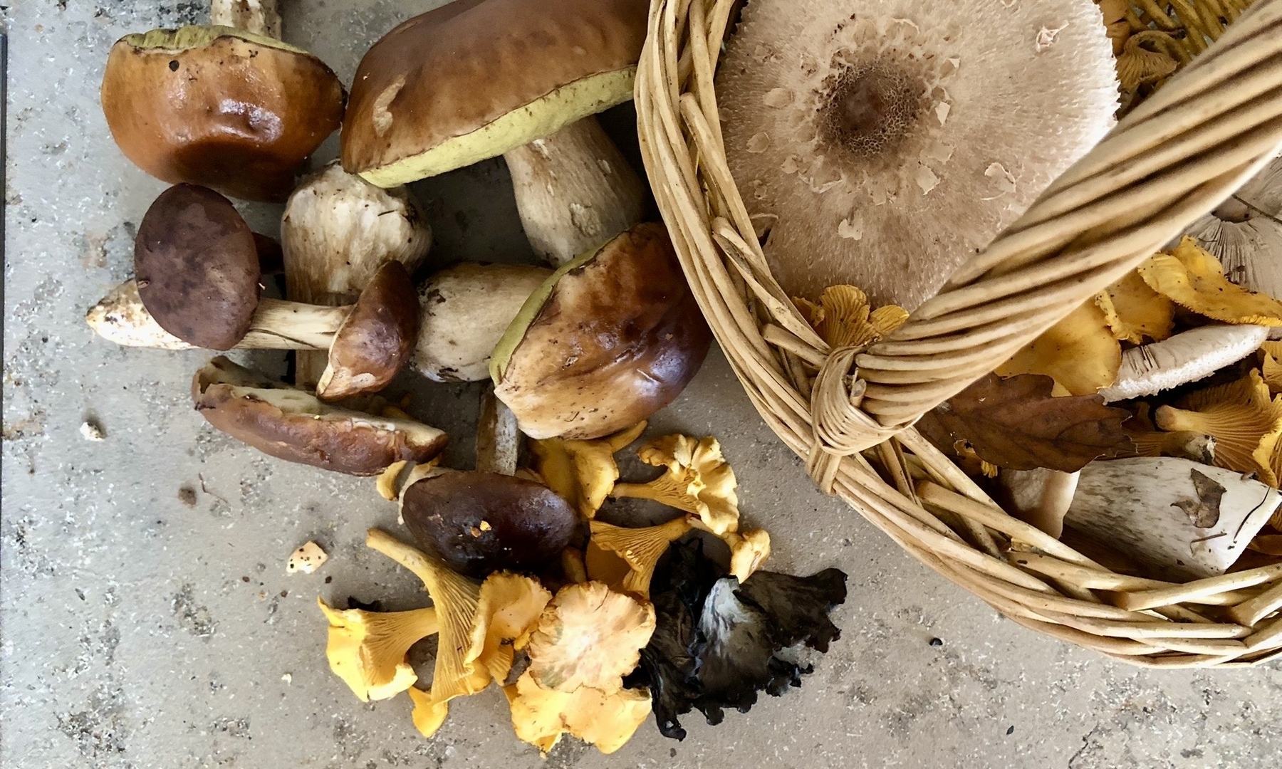 Pilze - einfache Rezepte