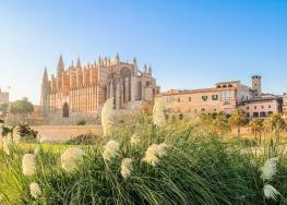 Kulinarische Stadtführung in Palma de Mallorca buchen 
