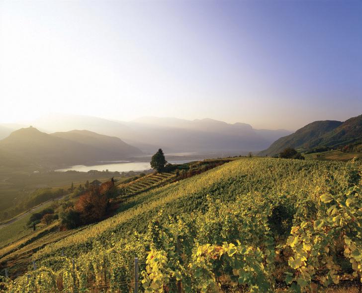 Törggelen in Südtirol Törggelen in Südtirol: Termine und Reisetipps