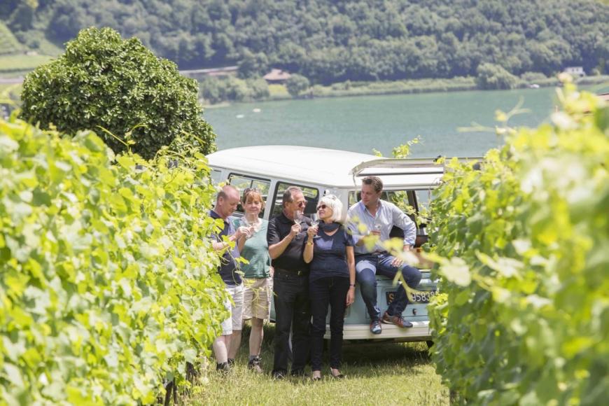 WEINTOUR IN SÜDTIROL MIT DEM OLDTIMER VW BULLI