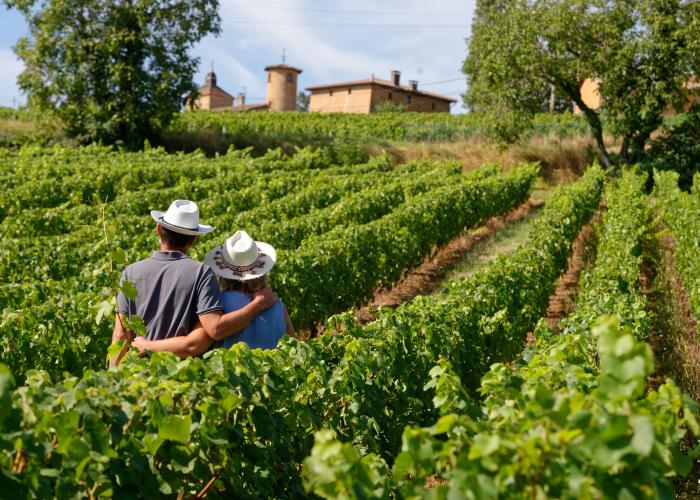 Beaujolais Weinreise