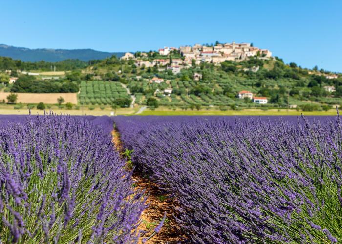 Rundreise in der Provence