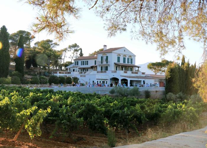 Urlaub auf dem Weingut in der Provence für Weinliebhaber