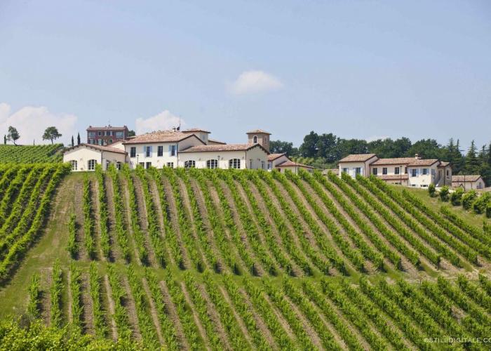Weinverkostung mit Übernachtung im Weingut Borgo Condé