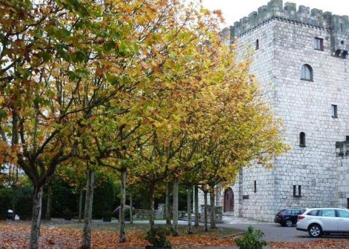 Morcilla de Burgos – Blutwurst, nur besser!