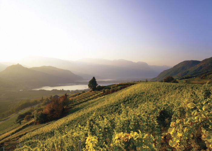 Törggelen in Südtirol: Termine und Reisetipps