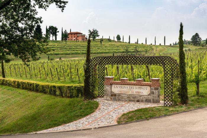 Hochzeitsreise Friaul - Castello di Spessa: Übernachten Winzer Collio. Weinreise Italien buchen! Hochzeitsreise Friaul - Castello di Spessa: Übernachten Winzer Collio. Weinreise Italien buchen!