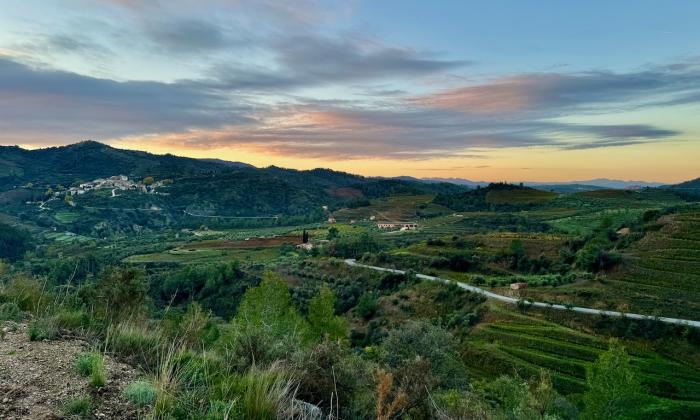 Rundreise Katalonien mit Priorat, Costa Durada und Costa Blanca Gruppenreise Katalonien mit Priorat, Costa Durada und Costa Blanca
