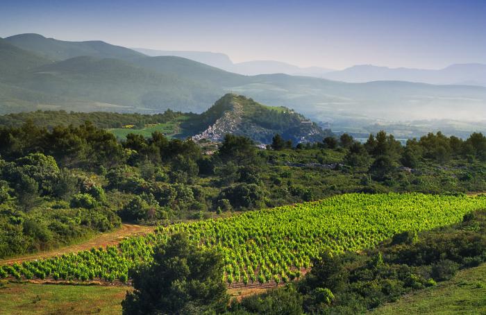 OkzitanienUrlaub Languedoc OkzitanienUrlaub Languedoc