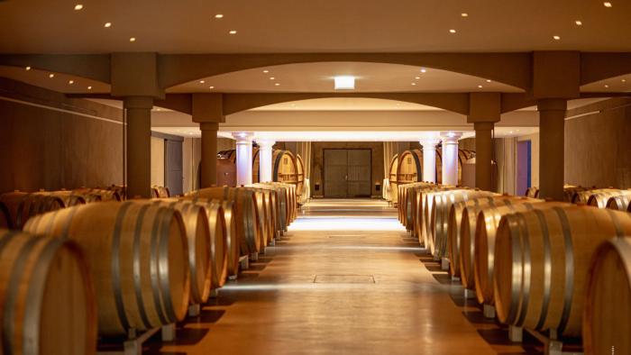 Weinverkostung Languedoc Weinreiese Südfrankreich