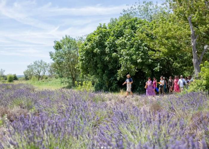 Provenceurlaub Arles Unterkunft mit Pool Geniesser Provenceurlaub Arles