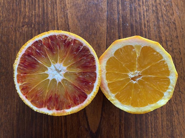 Orangenmarmelade selber machen. Ohne Filettieren.