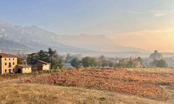 Gruppenreise Wein- und Kulturliebhaber im Baskenland und im Rioja