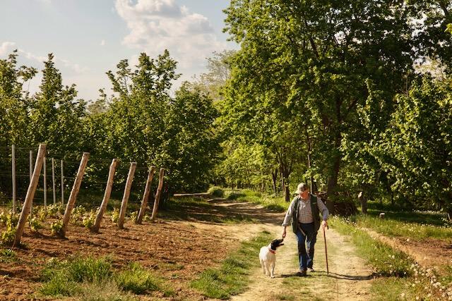 Genussvoller Kurzurlaub Piemont - Langhe Reise für Genießer Genussvoller Kurzurlaub im Piemont - Langhe Reise für Genießer
