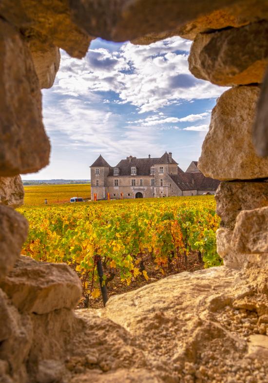 Rundreise Champagne mit Burgund für Genießer Rundreise Lyon, Champagne mit Burgund für Genießer
