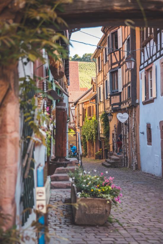 Rundreise Elsass