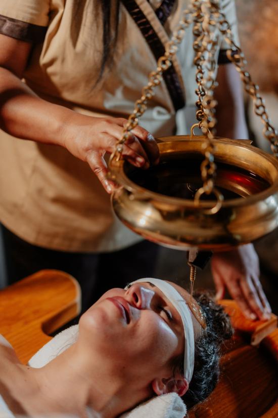 Ayurveda Reise Slowenien