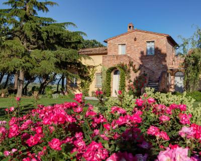 Rosen Garten Casa Bellavista in der Toskana