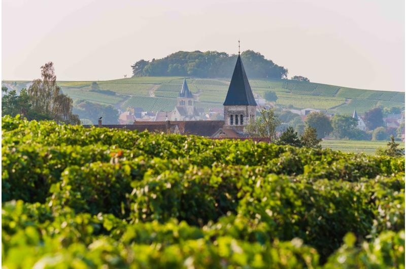 Champagne Gruppenreise für Genießer und Weinliebhaber