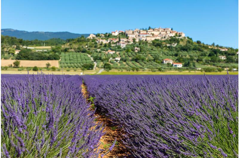 Provence Rundreise bis ins Languedoc für Genießer 