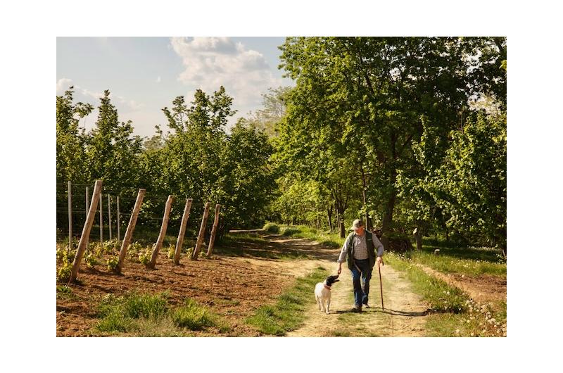 Trüffelreisen im Herbst 