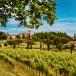 Hochzeitsreise Friaul - Castello di Spessa: Übernachten Winzer Collio. Weinreise Italien buchen!