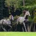 Bretagne Urlaub schönste Hotels für Pärchen
