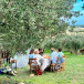 Gruppenreise Katalonien mit Priorat, Costa Durada und Costa Blanca