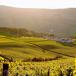 Kurzreise für Weinliebhaber Weinresort Borgo Conde in der Emilia-Romagna   