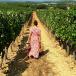 Provence Spezialitäten mit Reise