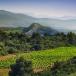 Provence Rundreise bis ins Languedoc für Genießer 