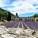 Provence Rundreise bis ins Languedoc für Genießer 